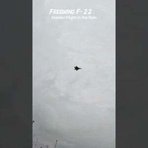 Freewing F-22 Raptor Maiden Flight in the Rain
