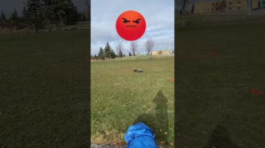 Arrma Fireteam WHITE vs BLACK Race #arrma