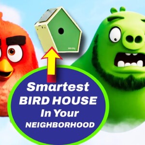 The Smartest Bird House in your Neighborhood! - Birddy Smart Bird House