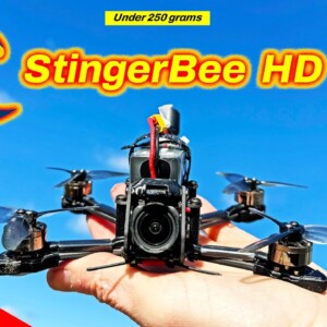 The StingerBee FPV Drone is perfect for Everyone! - Review - Newbeedrone